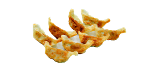 MENU 23B raviolis au poulet